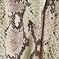 Snake Print Boat Neck Hanky Hem Short Dress Front View 2