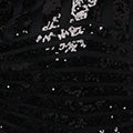 Sequin Embellished Fringed Midi Dress Detail View 2