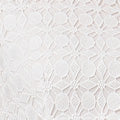 Semi Sheer Lace Layer Fitted Short Dress Front View 2