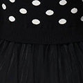 Polka Dot Semi Sheer Mesh Midi Dress Front View 2