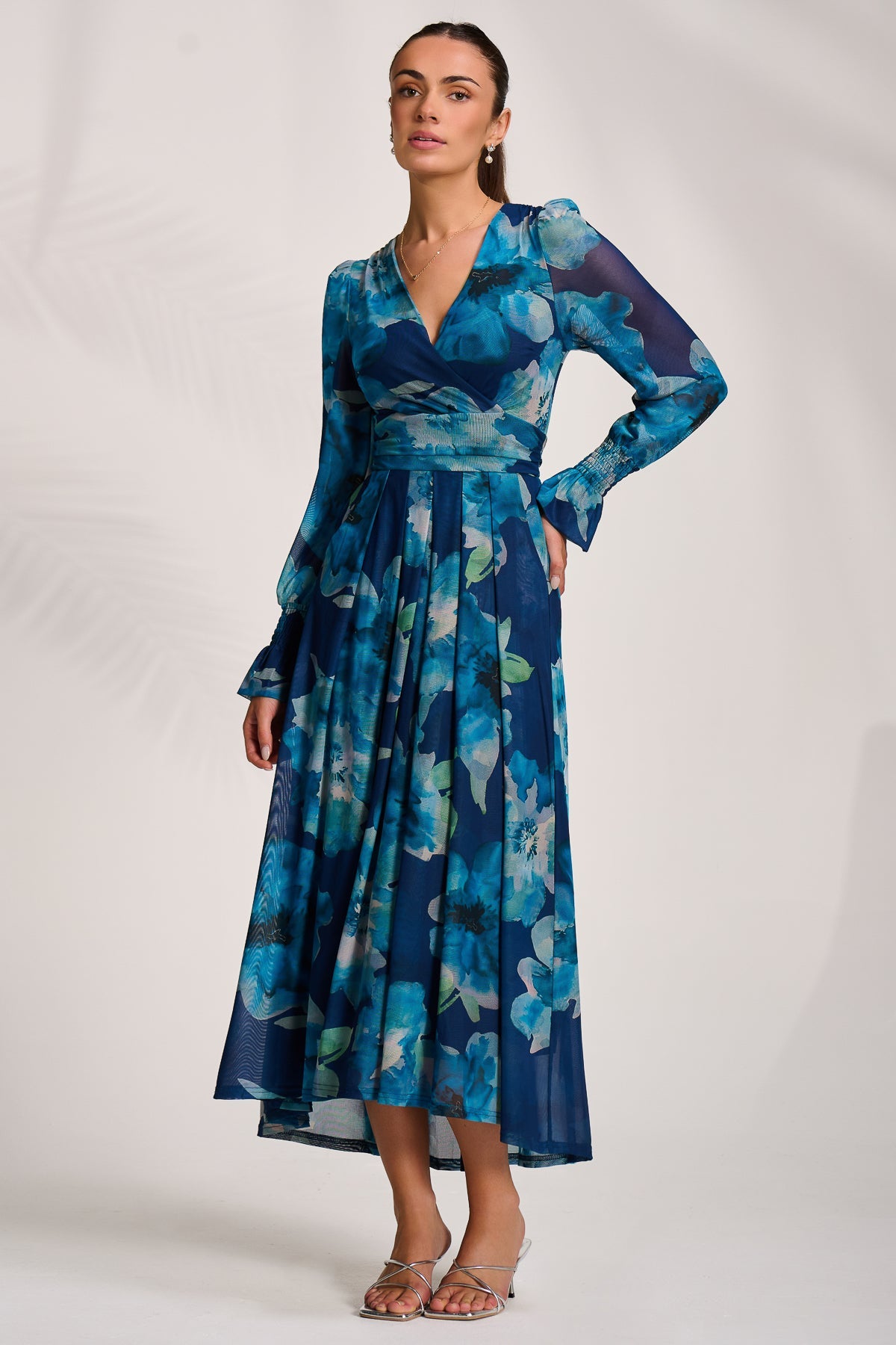Long Sleeve V Neck Mesh Maxi Dress BLUE FLORAL Detail View