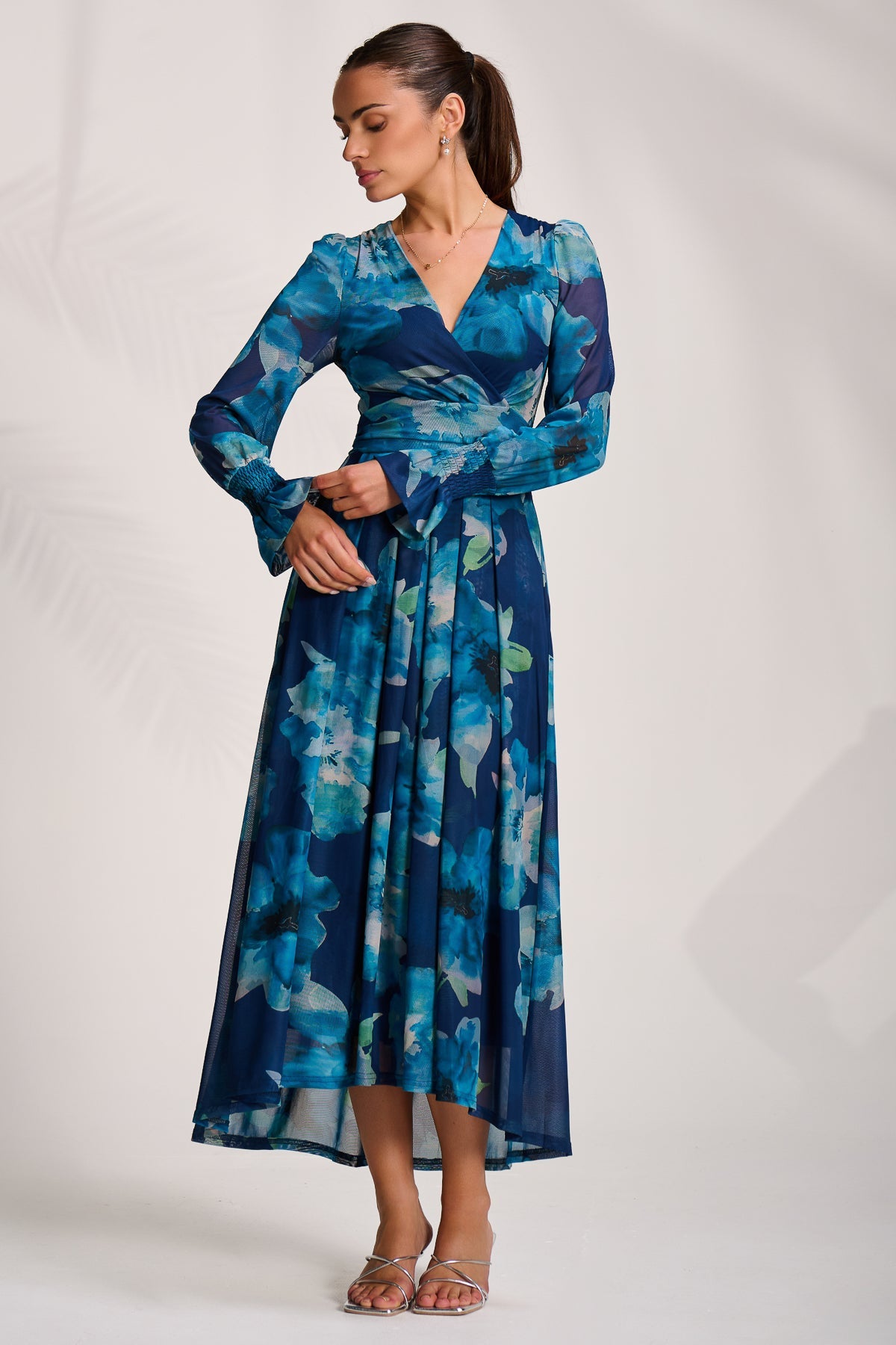Long Sleeve V Neck Mesh Maxi Dress BLUE FLORAL Front View 2