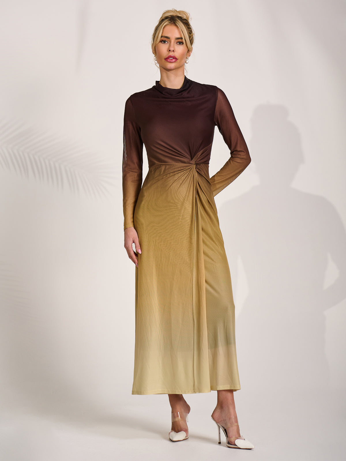 Petite Long Sleeve Mesh Maxi Dress Full Length View