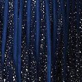 Sequin Sleeveless Tie Waist Dress Styled View