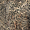 Animal Print Tie Waist Midi Shirt Dress Styled View 2