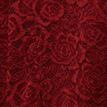 Lace Layer Sleeveless Short Skater Dress Full Length View