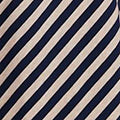 Striped 1/2 Puff Sleeve Midi Dress Full Length View