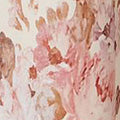 Floral Long Sleeve Tie Waist Midi Dress Front View 2