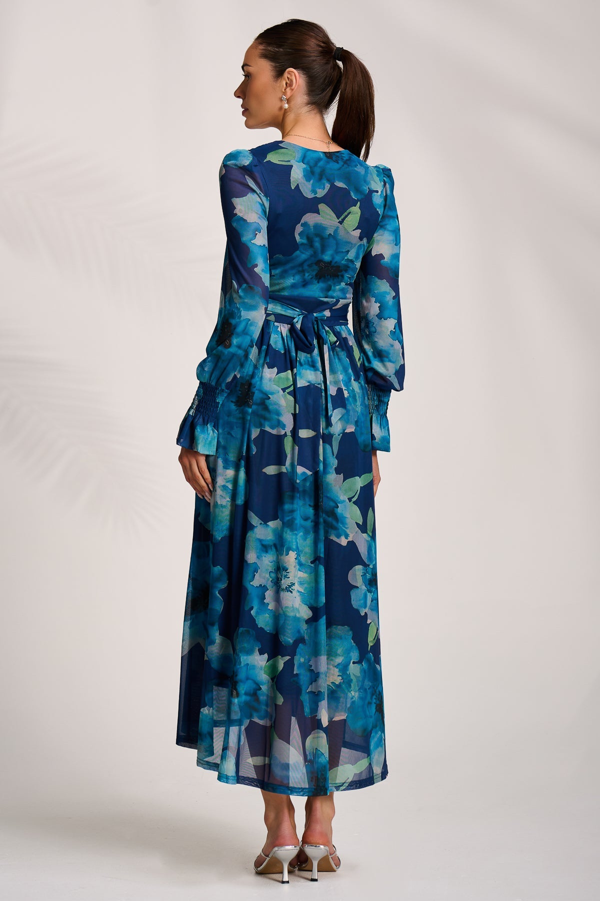 Long Sleeve V Neck Mesh Maxi Dress BLUE FLORAL Back View