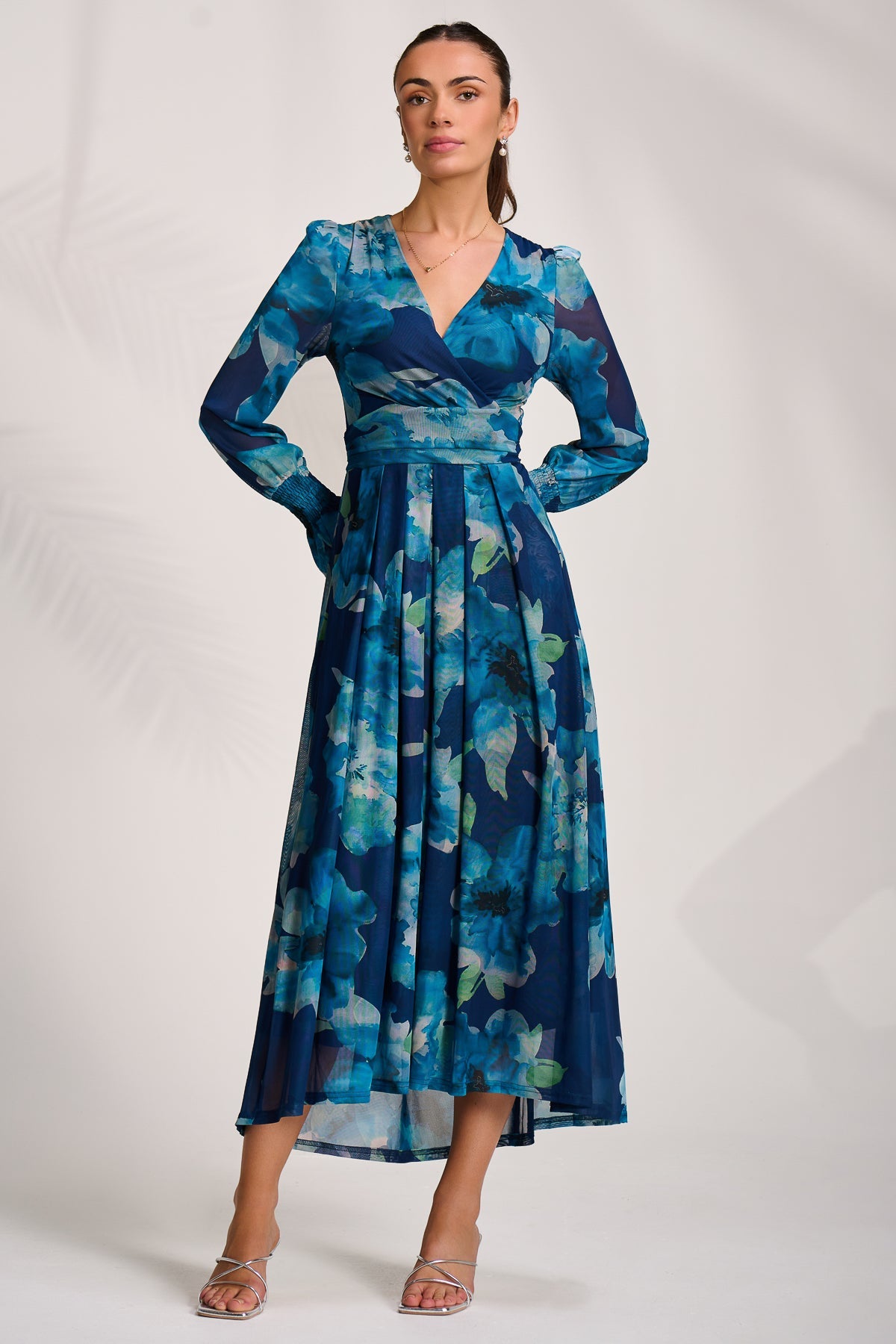 Long Sleeve V Neck Mesh Maxi Dress BLUE FLORAL Side View