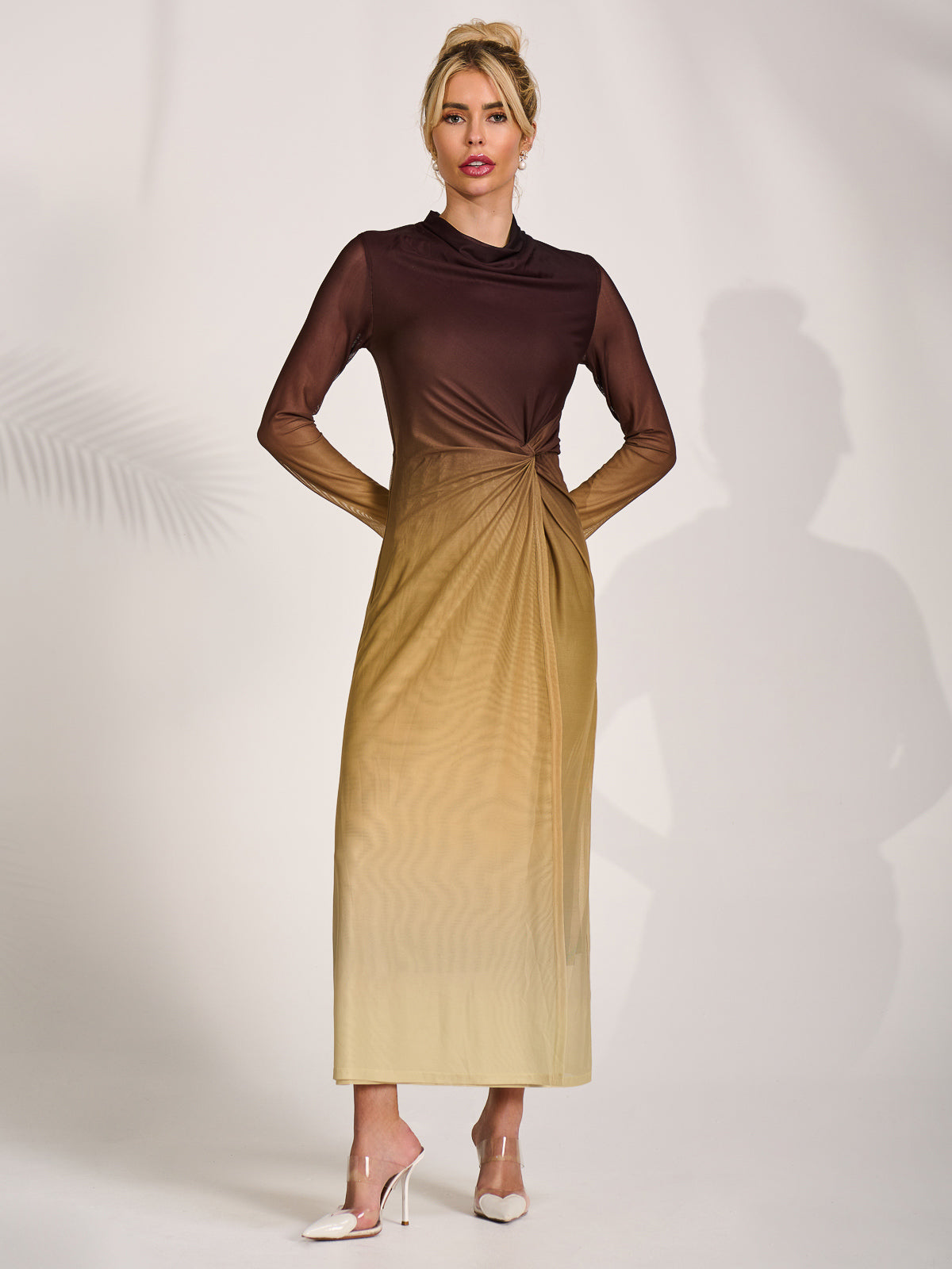Petite Long Sleeve Mesh Maxi Dress Front View